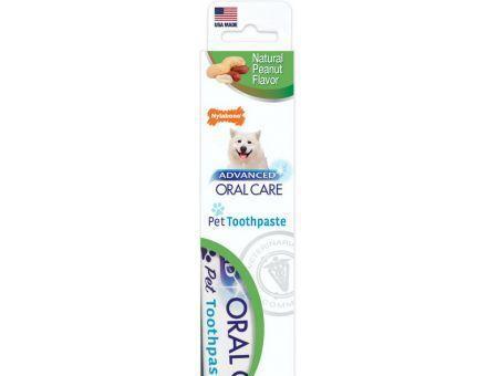 Nylabone Advanced Oral Care Natural Toothpaste - Peanut Flavor