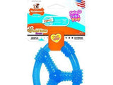 Nylabone Puppy Chew Ring Peanut Butter Toy - Wolf-Dog-www.YourFishStore.com