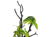 Penn Plax Driftwood Plant - Green - Tall-Fish-www.YourFishStore.com