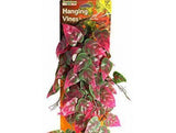 Reptology Climber Vine - Red/Green-Reptile-www.YourFishStore.com