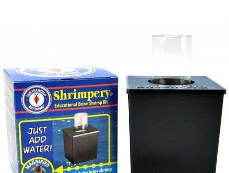 SF Bay Brands Brine Shrimpery Kit