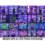 X20 Assorted Sps & Lps Frag Package - Live Coral *Bulk Save-frag packages-www.YourFishStore.com