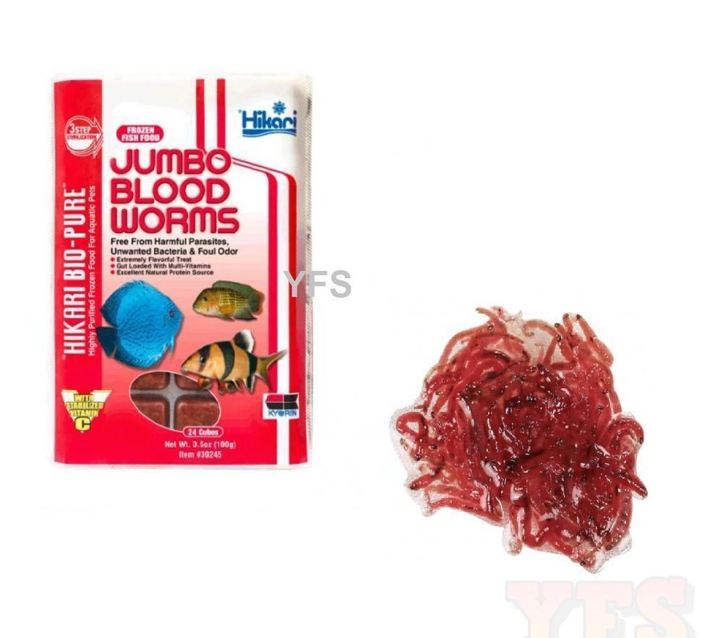 X5 Packs - 16 Oz Jumbo Blood Worms Flat Fish Food - Frozen - For