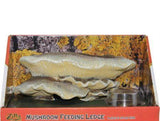 Zilla Mushroom Feeding Ledge Reptile Decor-Reptile-www.YourFishStore.com