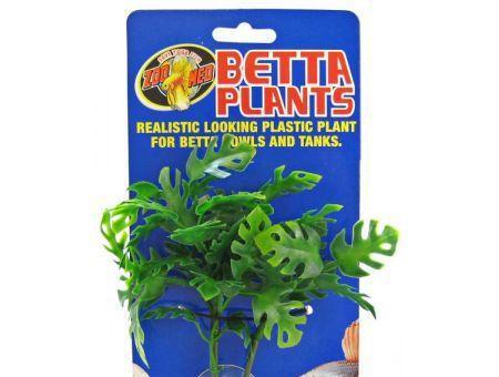 Zoo Med Aquatic Betta Plants - Window Leaf Plant