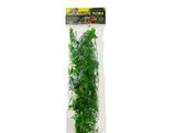 Zoo Med Mexican Phyllo Bush Plant Large-Reptile-www.YourFishStore.com