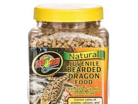 Can Bearded Dragons Eat Kale? Get Clarity About This Superfood