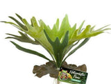 Zoo Med Naturalistic Flora Staghorn Fern-Reptile-www.YourFishStore.com