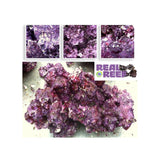 Real Reef Rock (60 lb) Box - Mixed Size (Medium) - Real Reef-www.YourFishStore.com