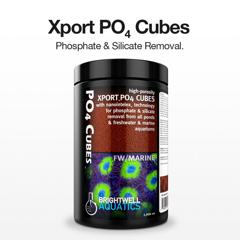Xport PO4 Cubes 1000ml - Brightwell Aquatics